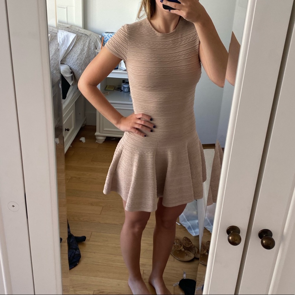 Ronny kobo knit mini fit and flare dress